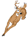Big Buck
